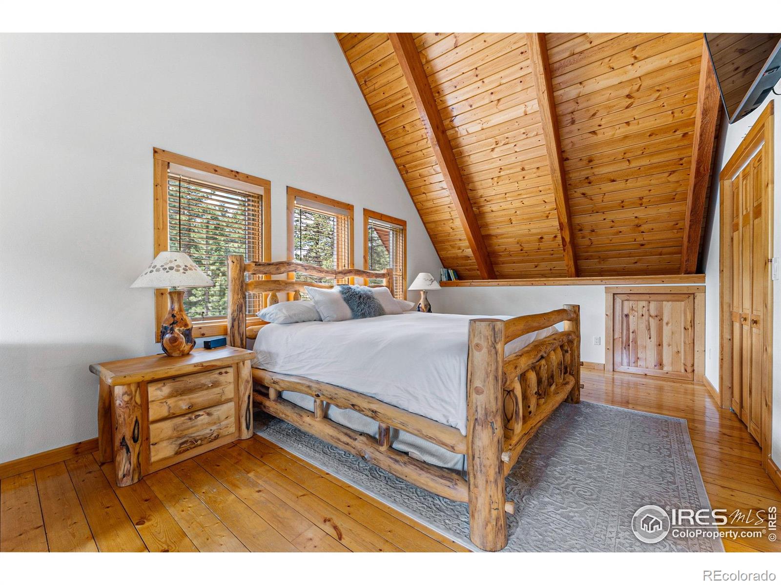 MLS Image #17 for 178  hazelwood drive,nederland, Colorado