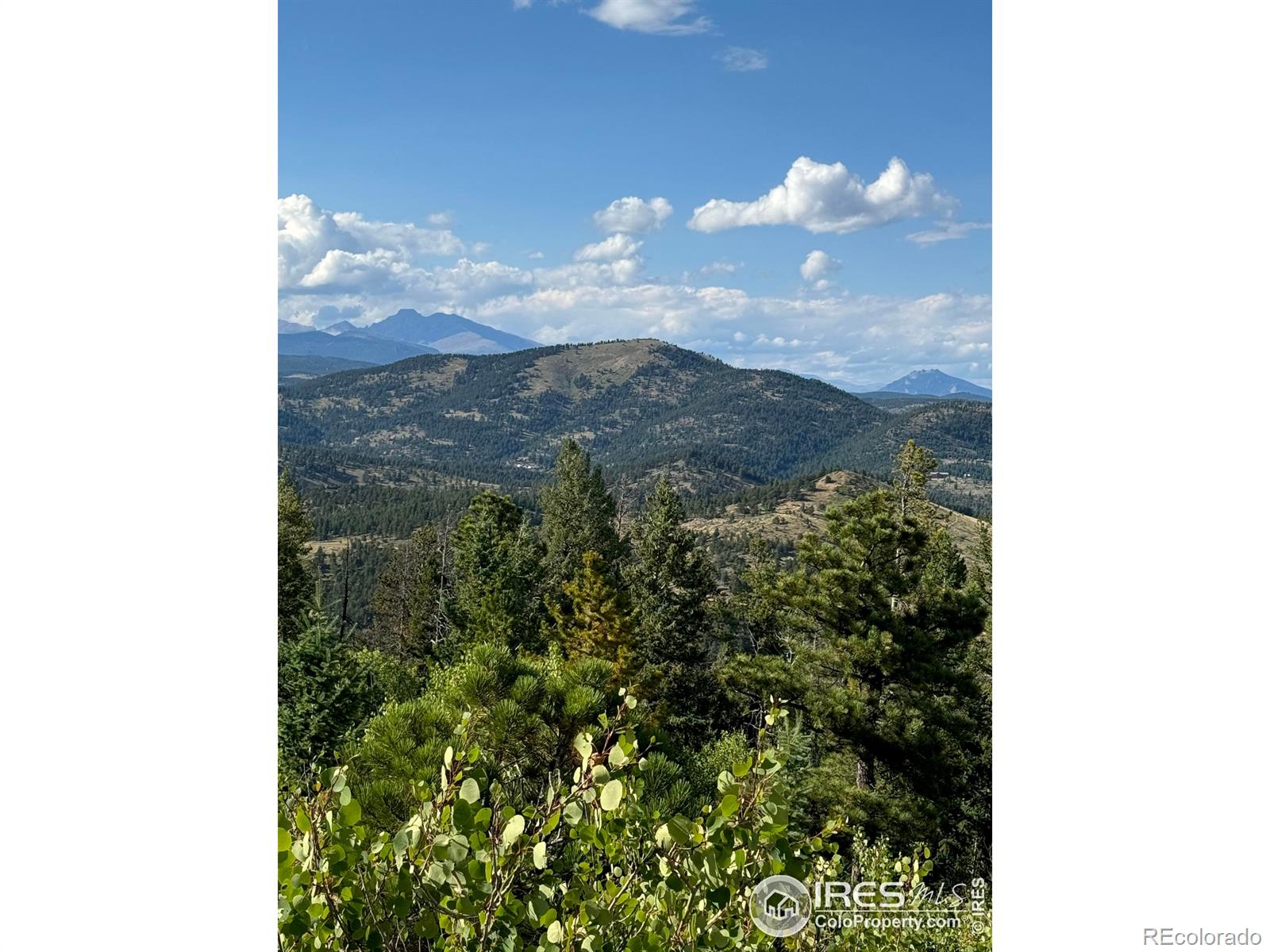 MLS Image #2 for 178  hazelwood drive,nederland, Colorado