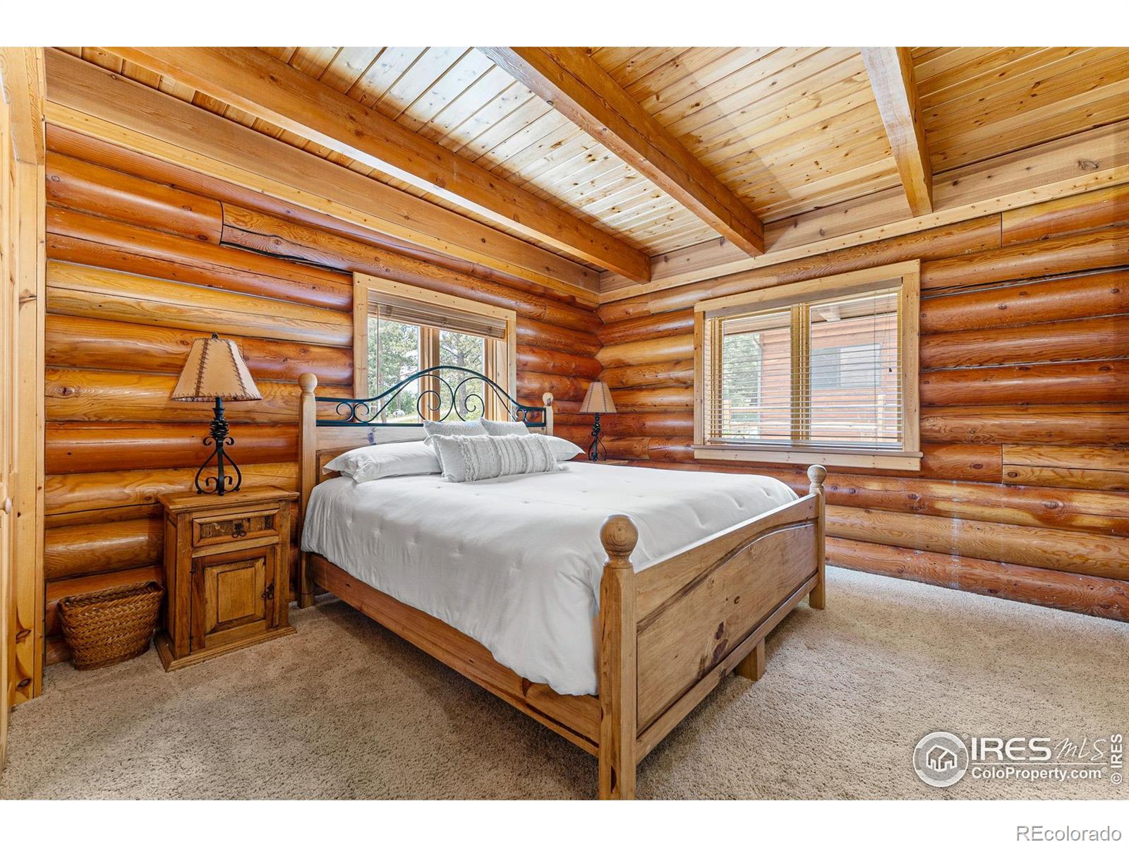 MLS Image #22 for 178  hazelwood drive,nederland, Colorado