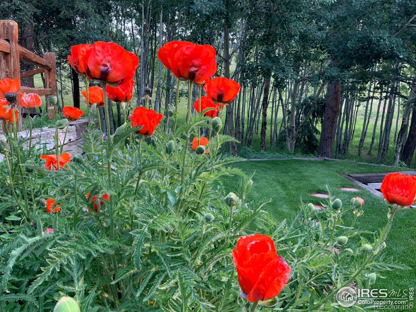 MLS Image #35 for 178  hazelwood drive,nederland, Colorado