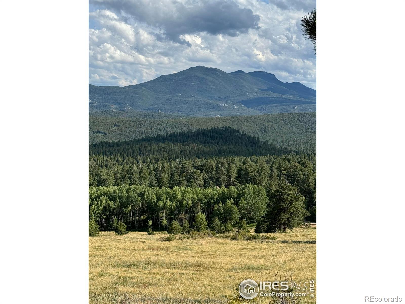 MLS Image #37 for 178  hazelwood drive,nederland, Colorado
