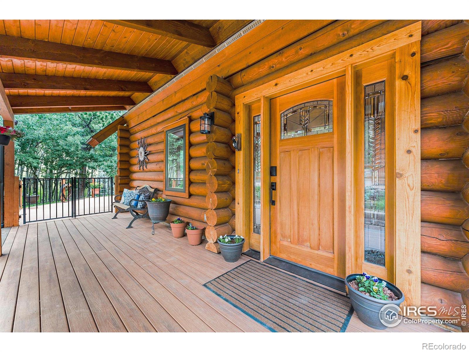 MLS Image #4 for 178  hazelwood drive,nederland, Colorado