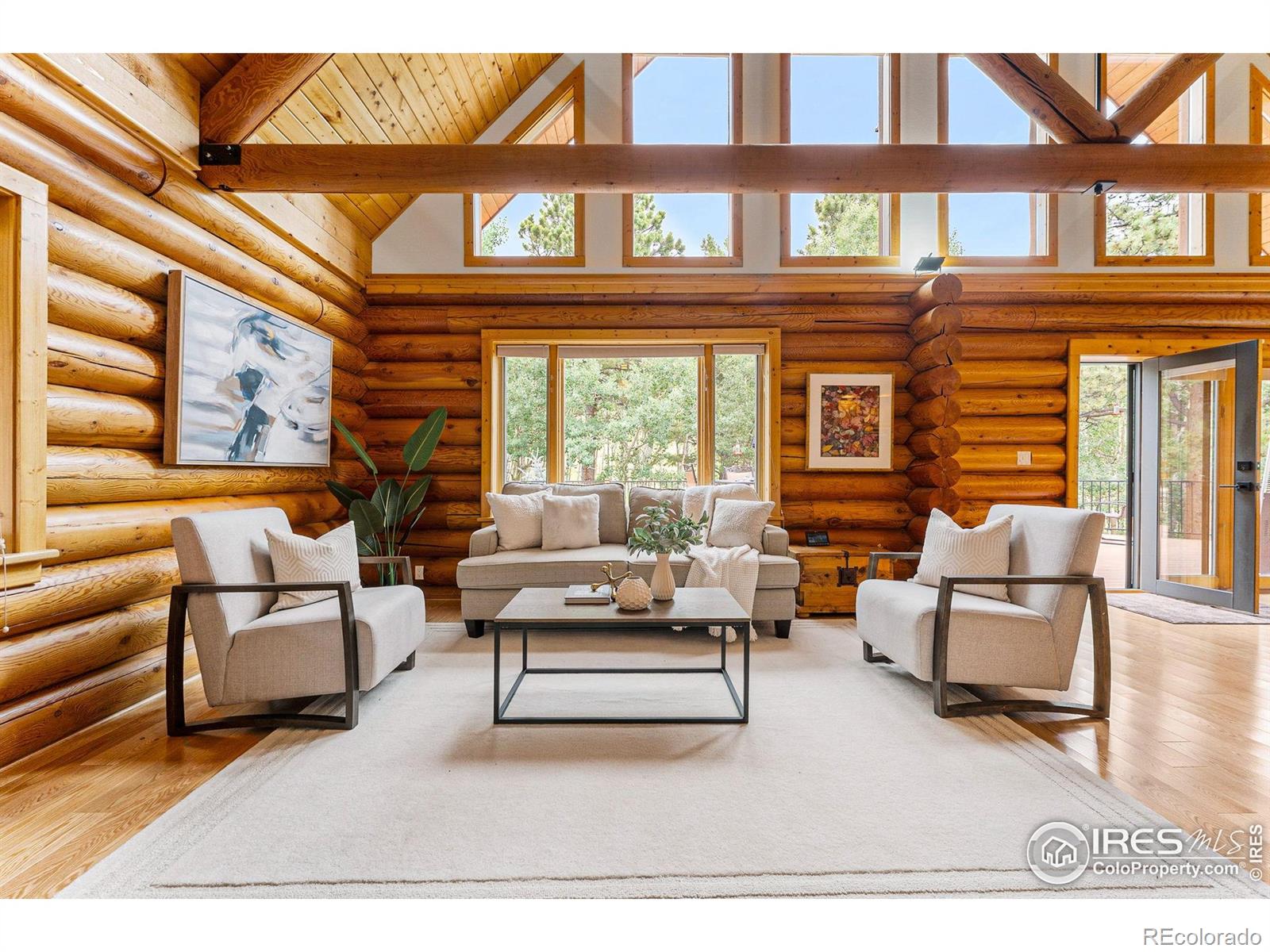 MLS Image #9 for 178  hazelwood drive,nederland, Colorado