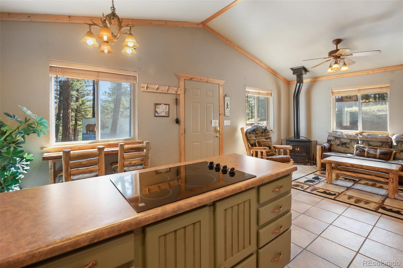 MLS Image #14 for 31  handcart circle,florissant, Colorado