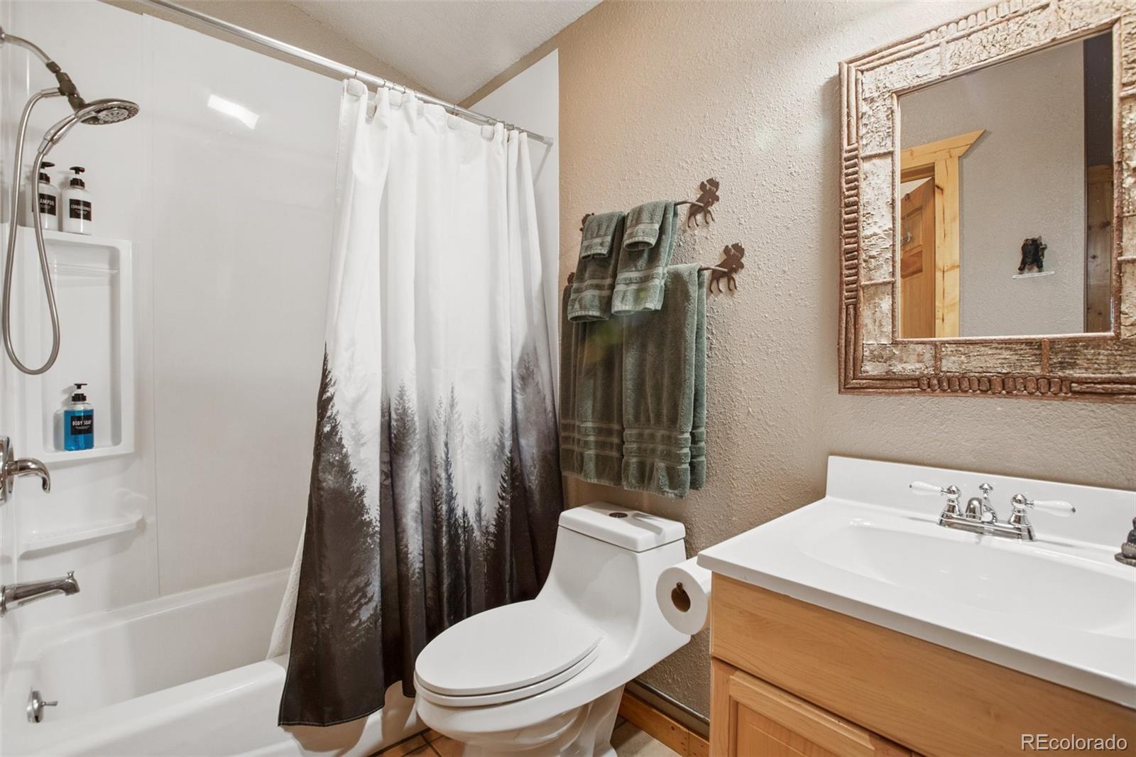 MLS Image #15 for 31  handcart circle,florissant, Colorado