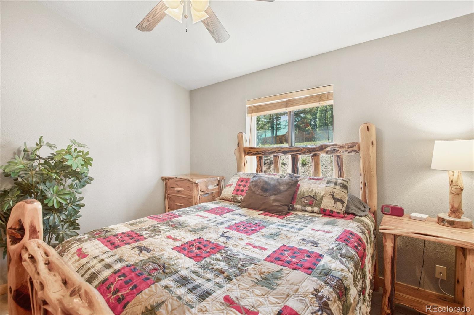 MLS Image #18 for 31  handcart circle,florissant, Colorado