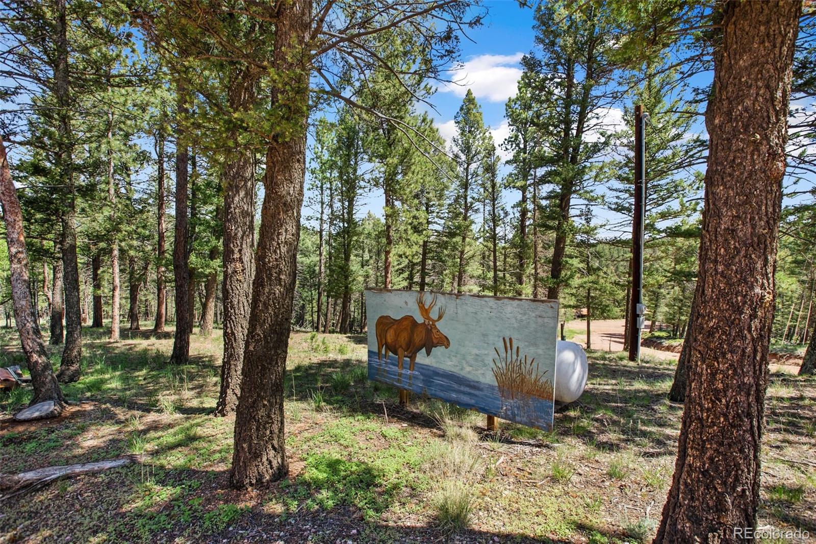 MLS Image #28 for 31  handcart circle,florissant, Colorado