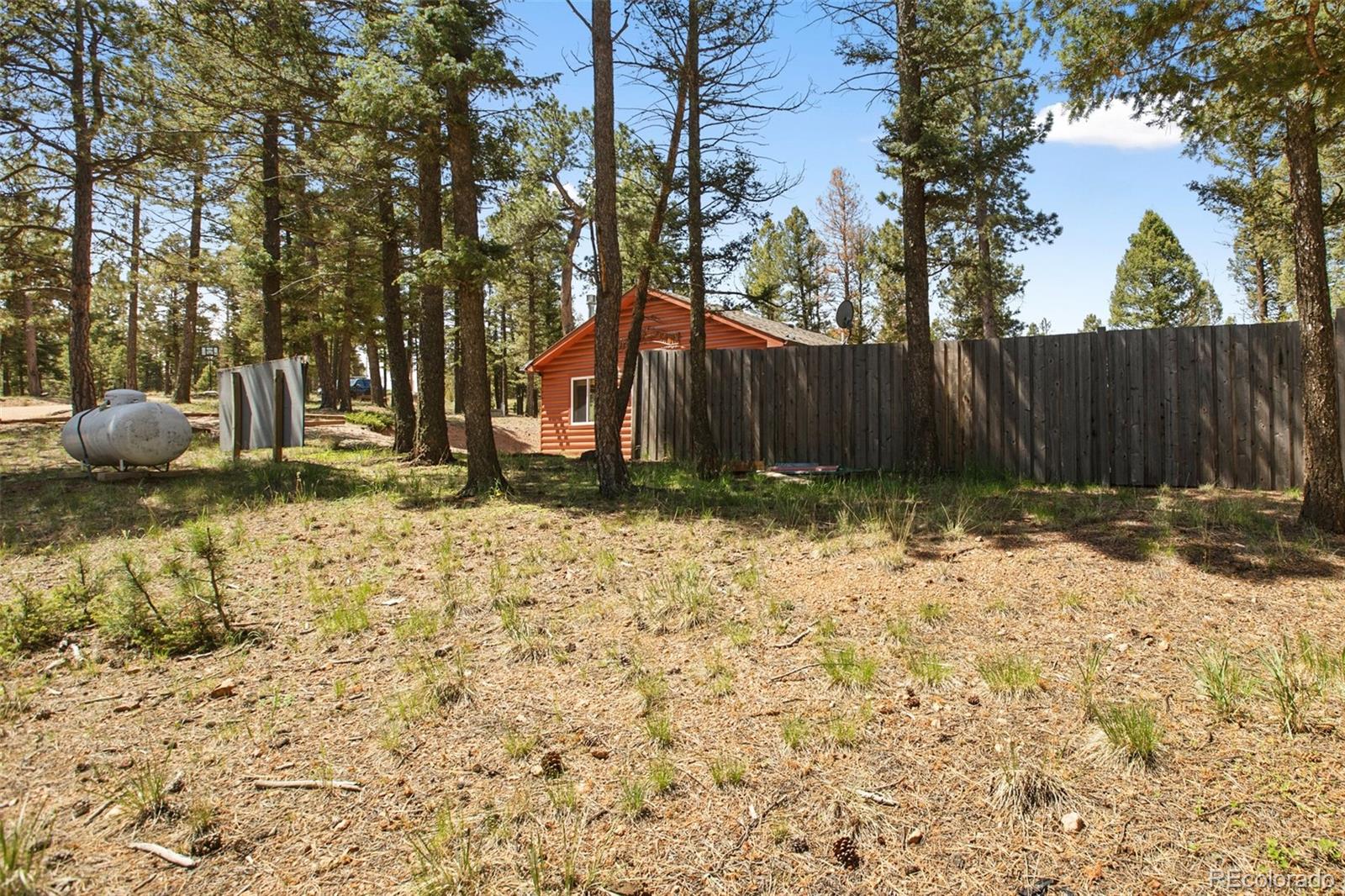 MLS Image #36 for 31  handcart circle,florissant, Colorado