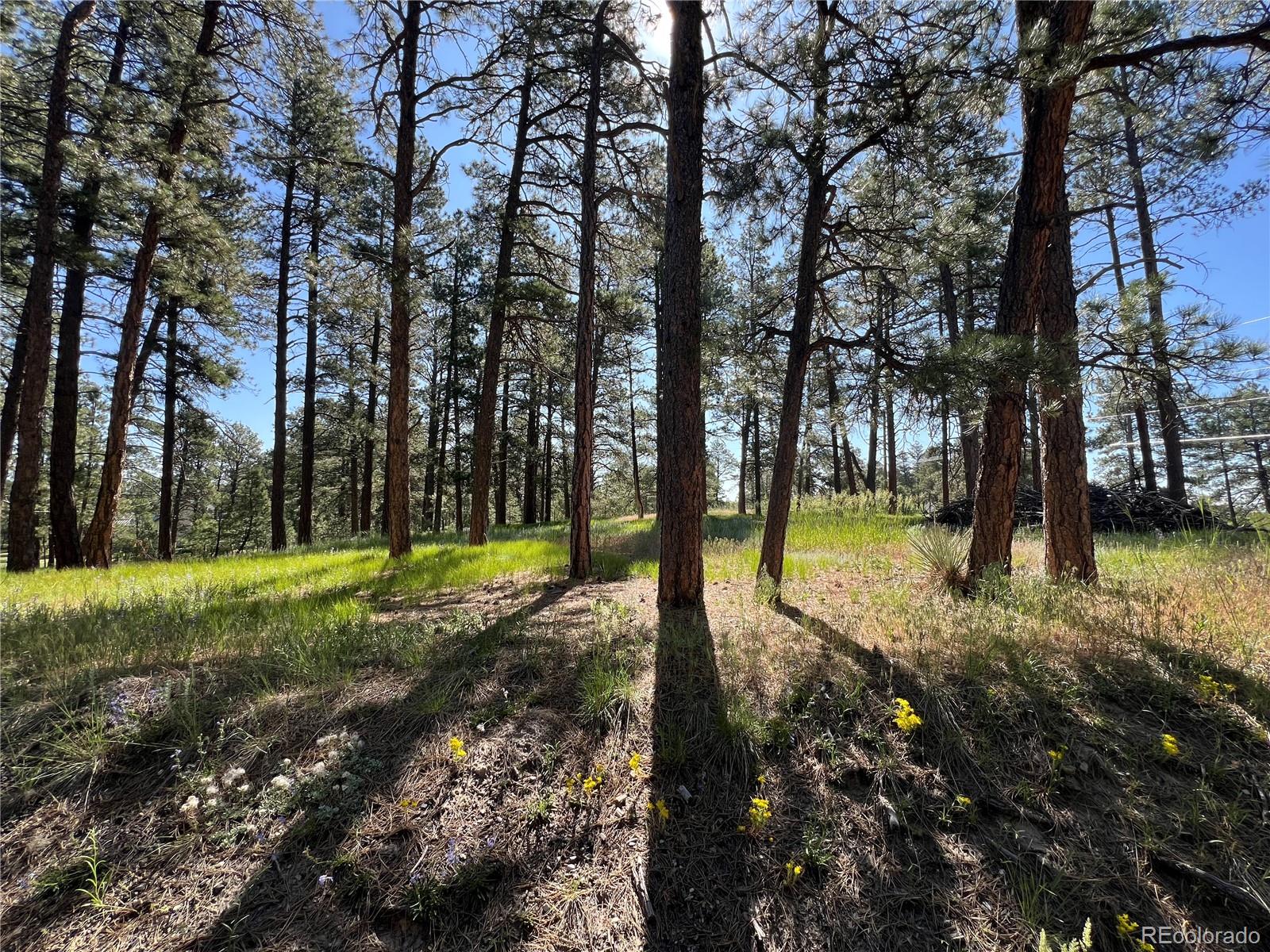 MLS Image #11 for 5777  county road 154 ,elizabeth, Colorado