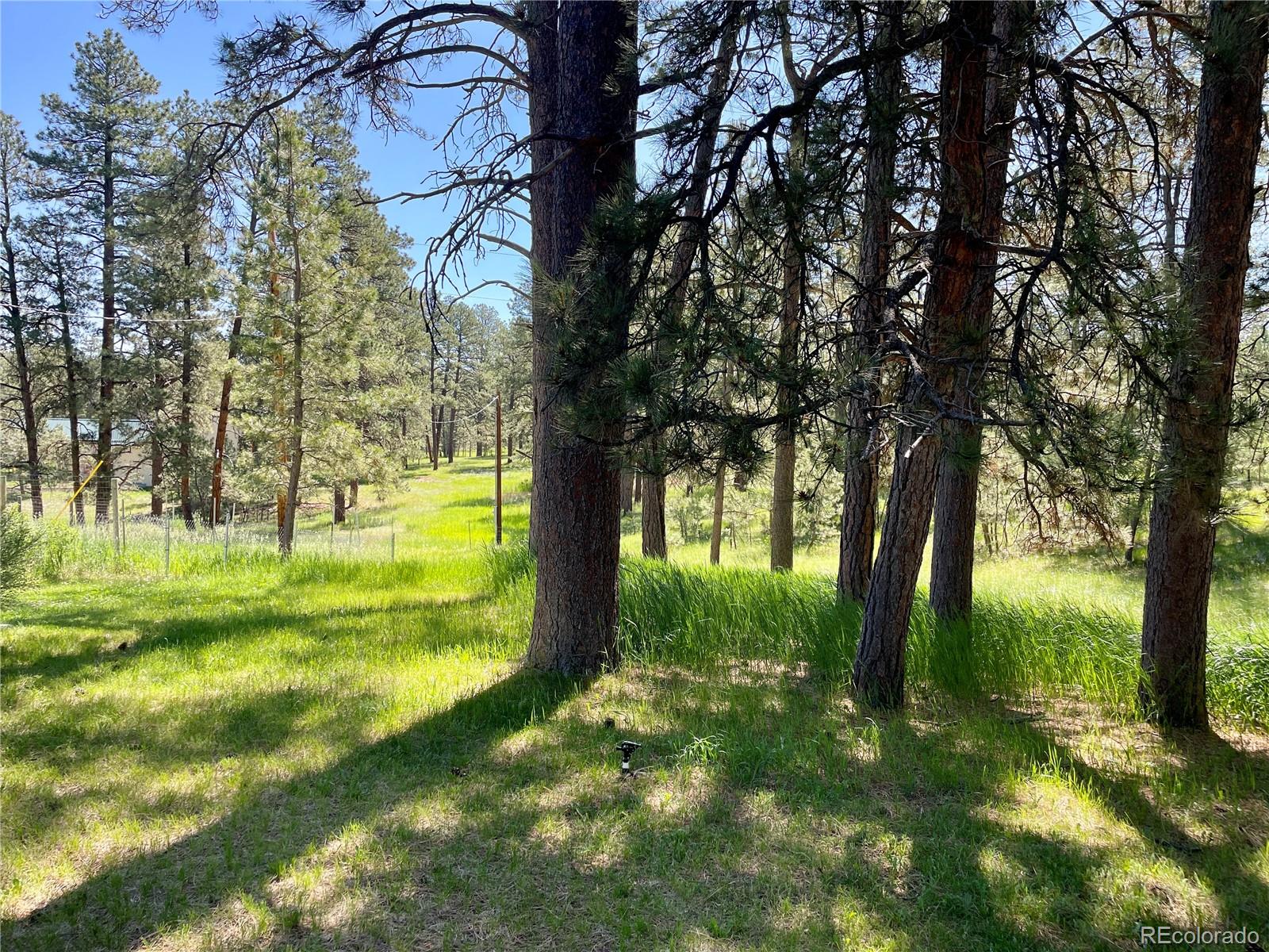 MLS Image #13 for 5777  county road 154 ,elizabeth, Colorado