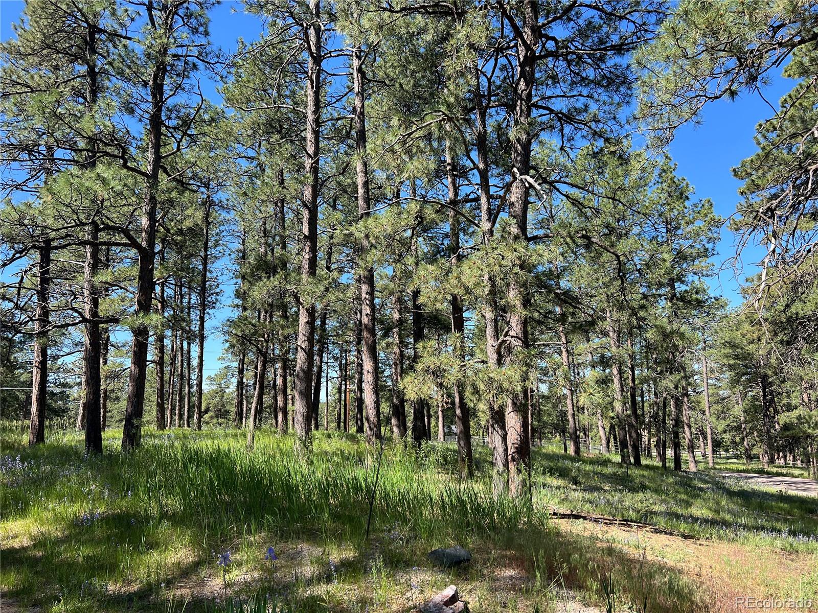 MLS Image #15 for 5777  county road 154 ,elizabeth, Colorado