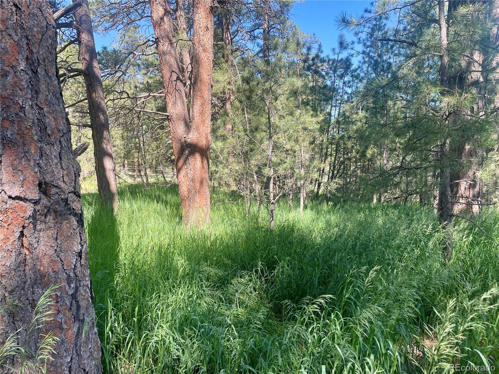 MLS Image #47 for 5777  county road 154 ,elizabeth, Colorado