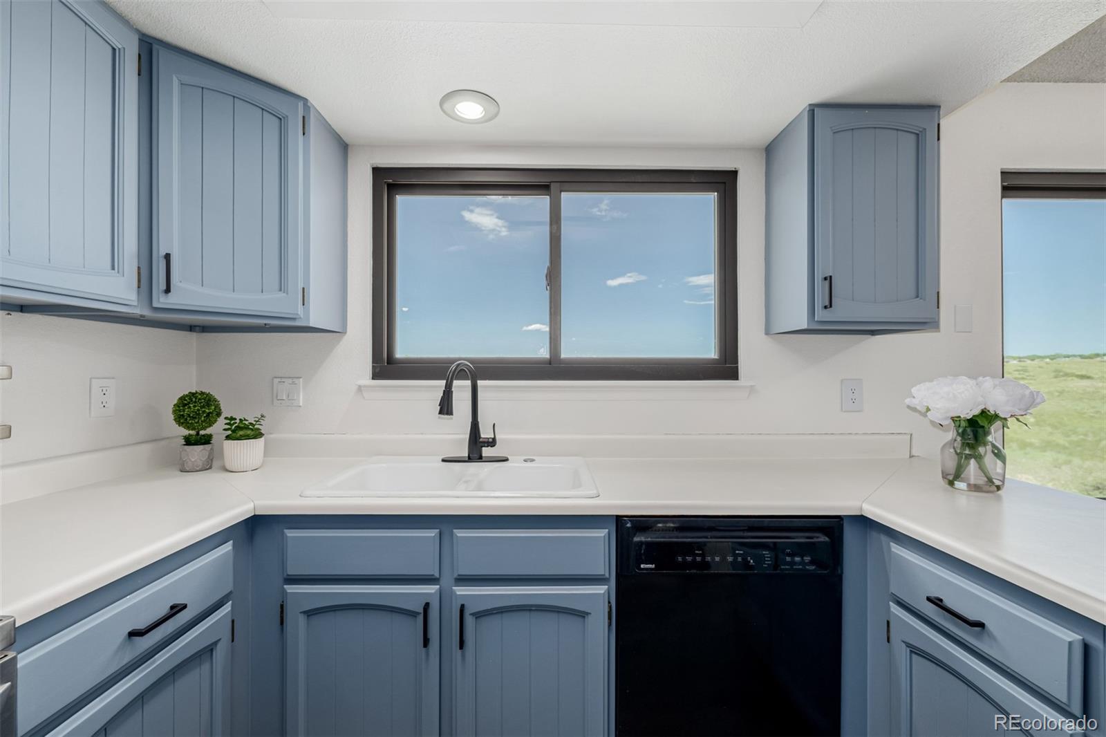 MLS Image #11 for 551  snowy owl place,highlands ranch, Colorado