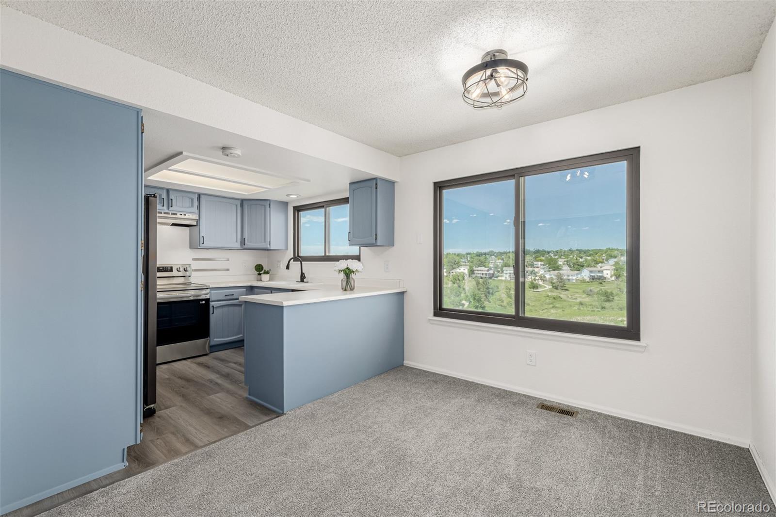 MLS Image #9 for 551  snowy owl place,highlands ranch, Colorado