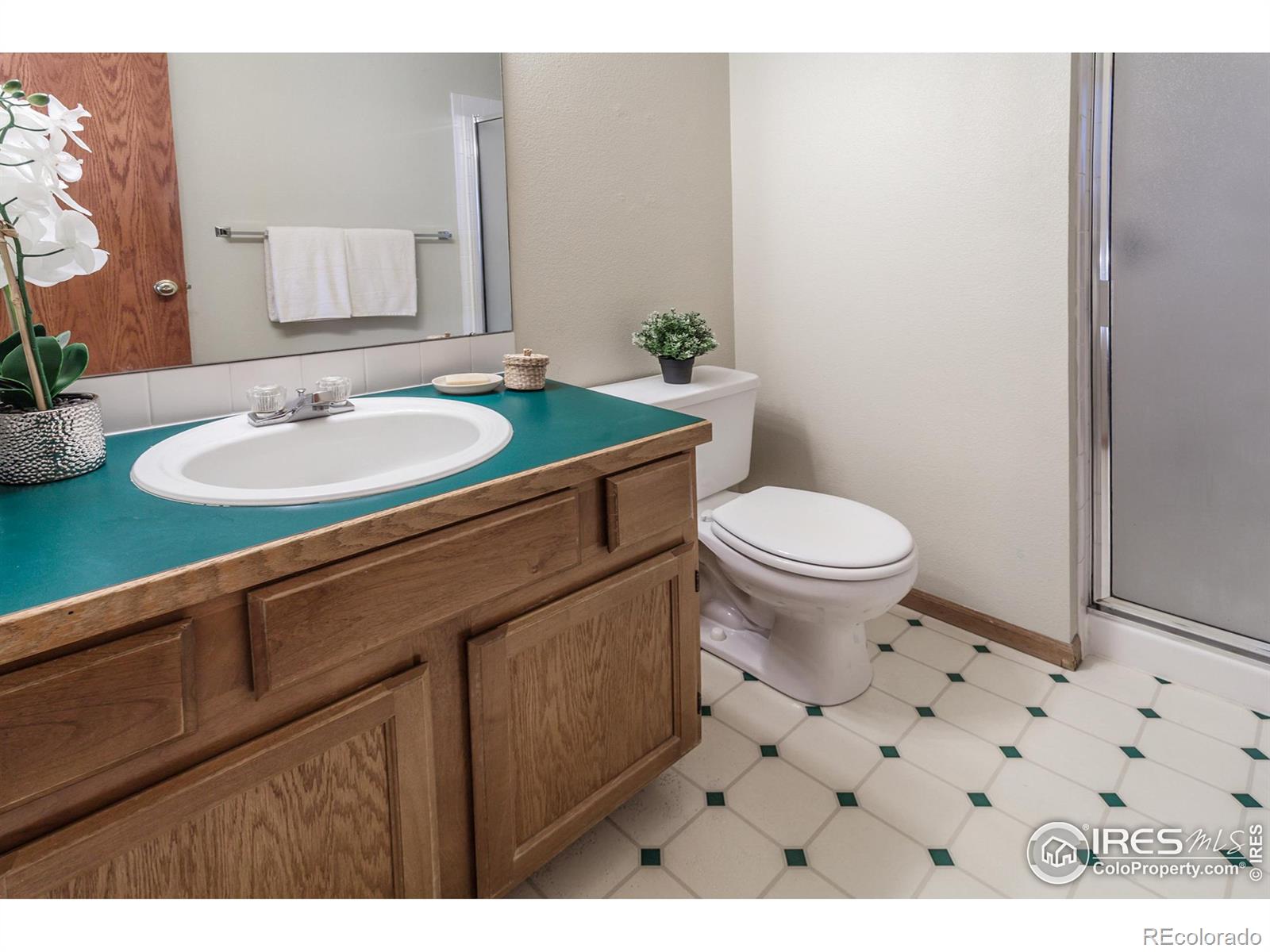 MLS Image #17 for 425  walden way,fort collins, Colorado