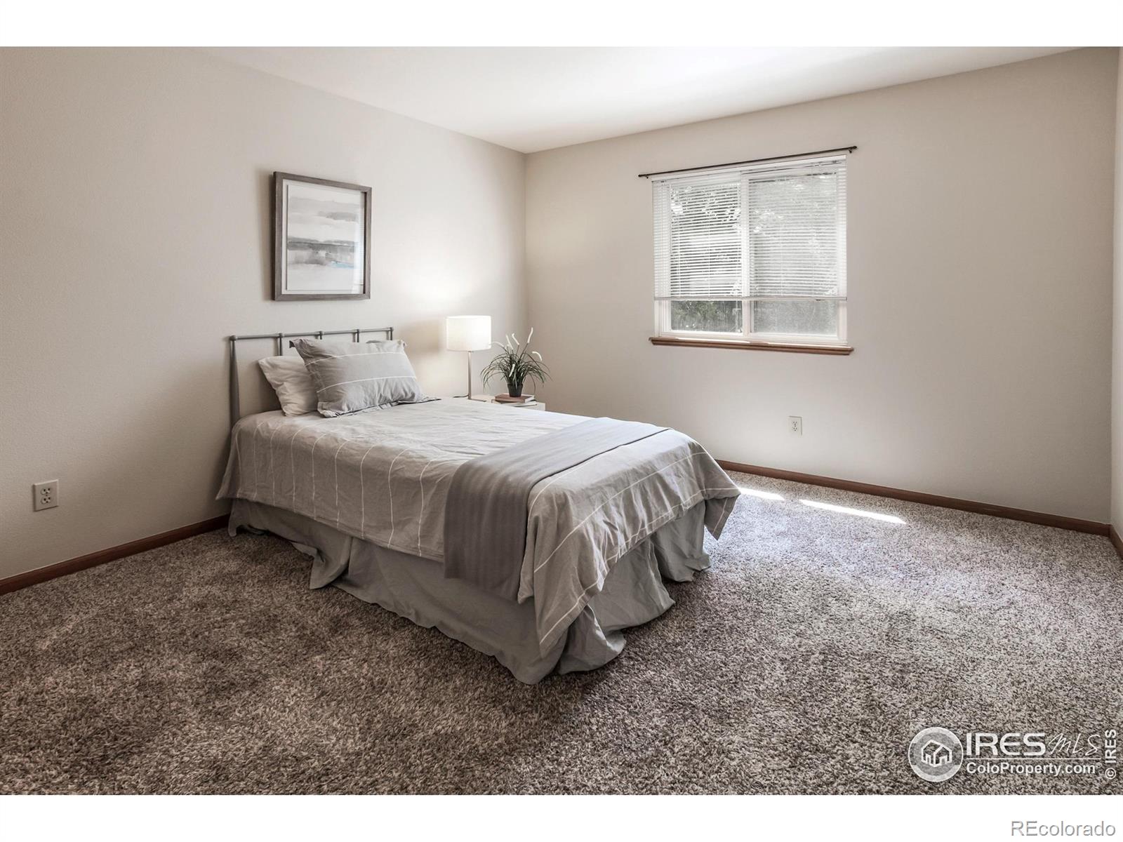 MLS Image #20 for 425  walden way,fort collins, Colorado