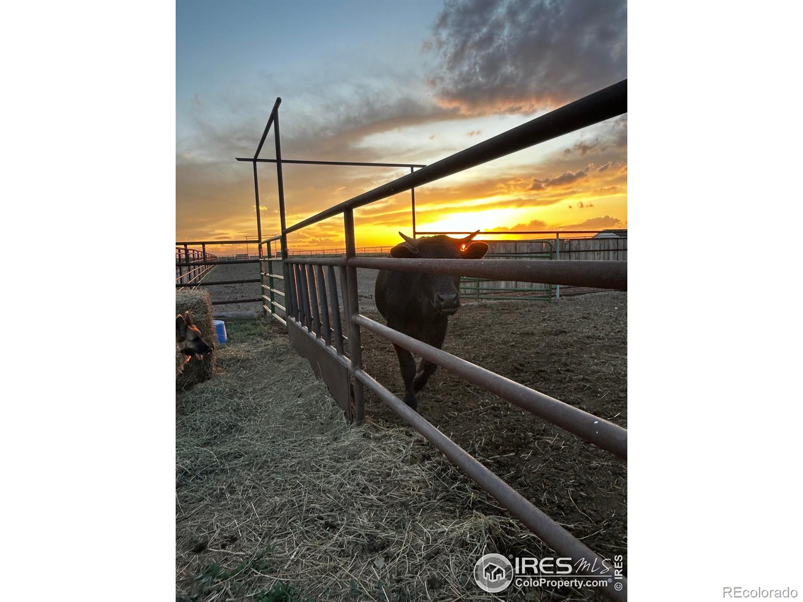 MLS Image #23 for 29752  county road 53 ,greeley, Colorado