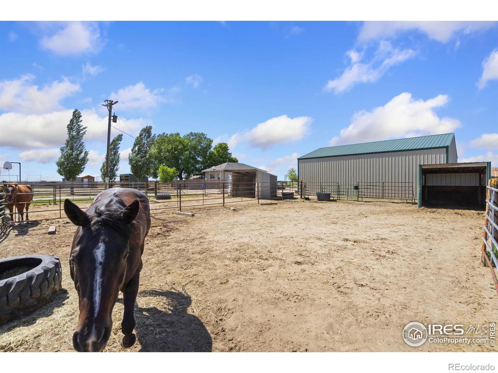 MLS Image #29 for 29752  county road 53 ,greeley, Colorado