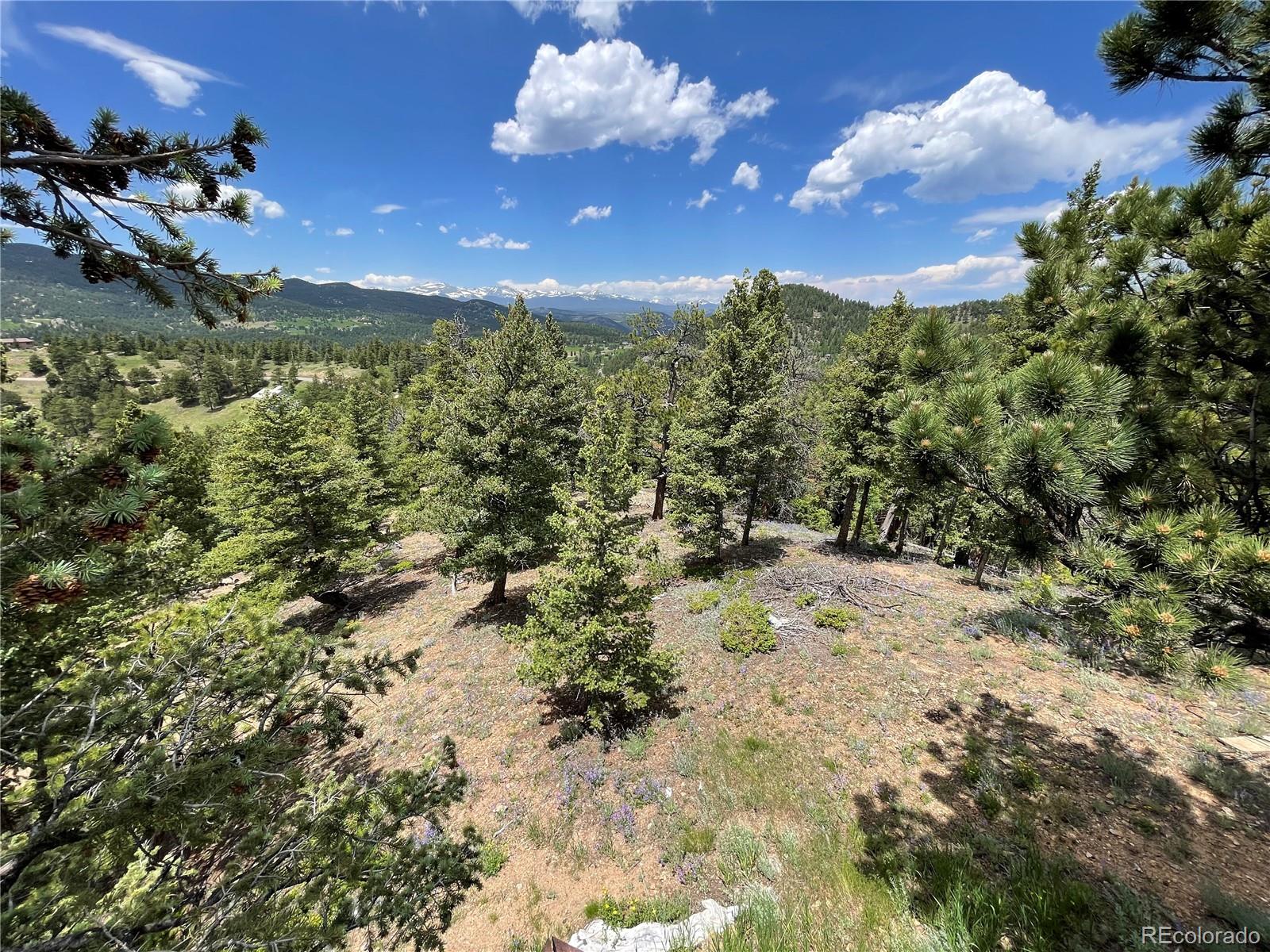 MLS Image #15 for 29657  loomis way,golden, Colorado