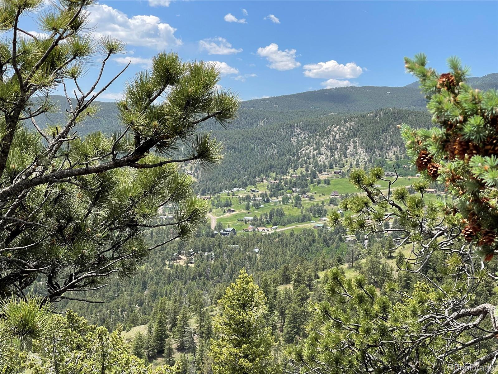 MLS Image #16 for 29657  loomis way,golden, Colorado