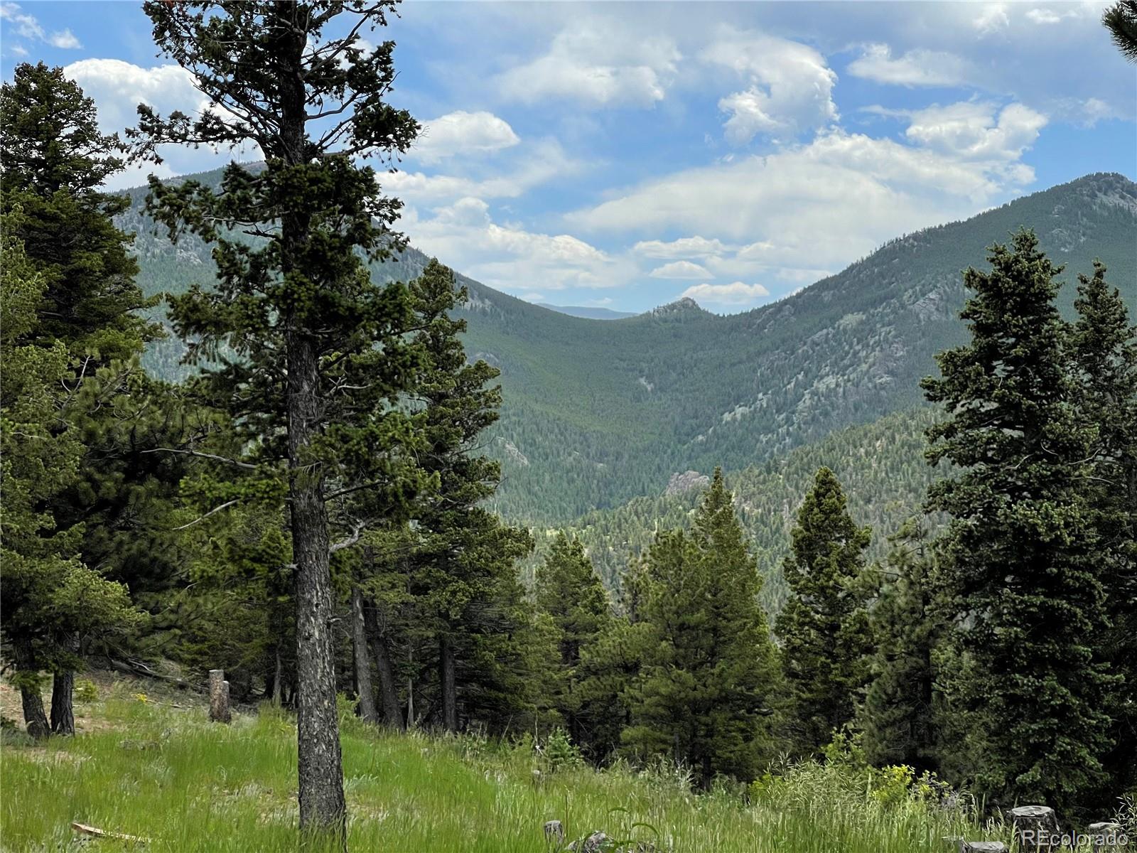 MLS Image #17 for 29657  loomis way,golden, Colorado