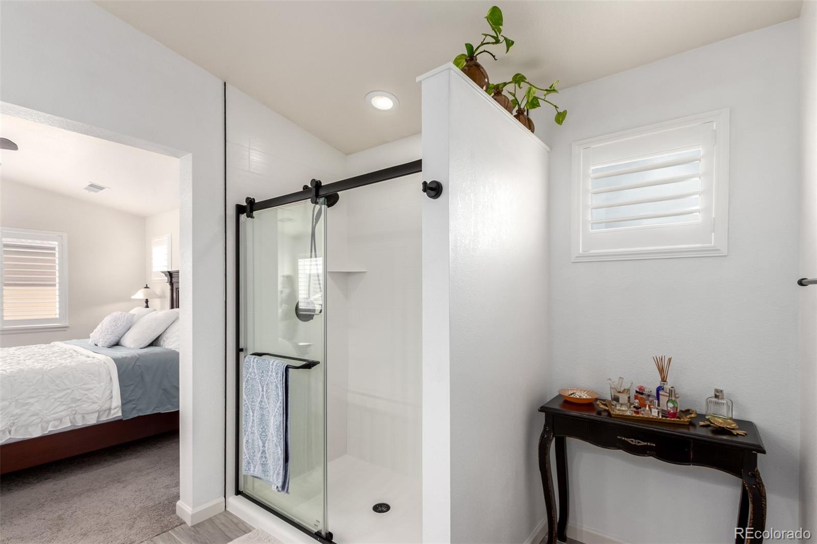 MLS Image #23 for 690 w 172nd place,broomfield, Colorado