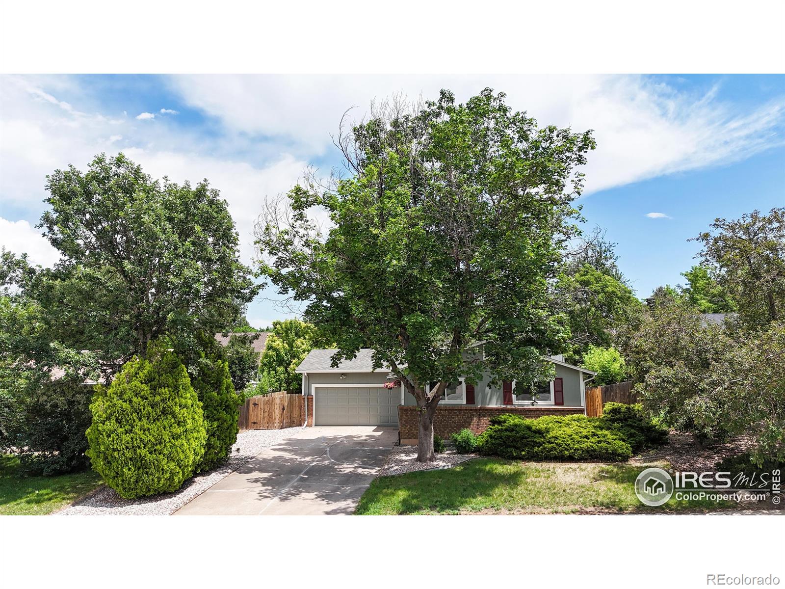 MLS Image #30 for 2706  dunbar avenue,fort collins, Colorado