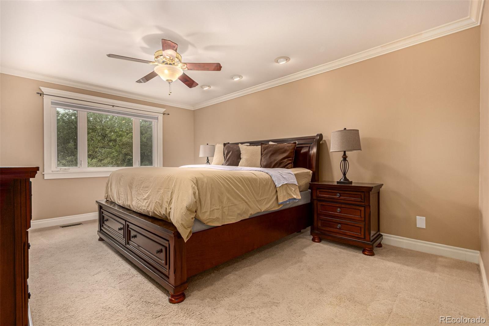 MLS Image #19 for 8588 s woody way,highlands ranch, Colorado
