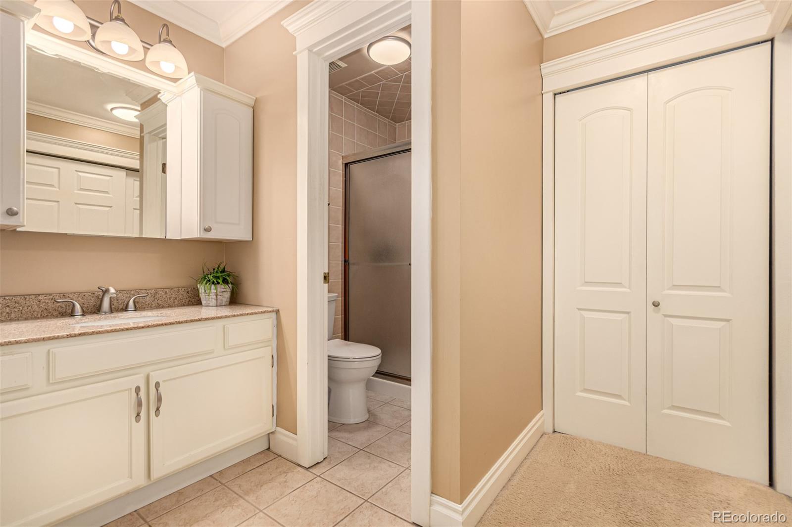 MLS Image #23 for 8588 s woody way,highlands ranch, Colorado