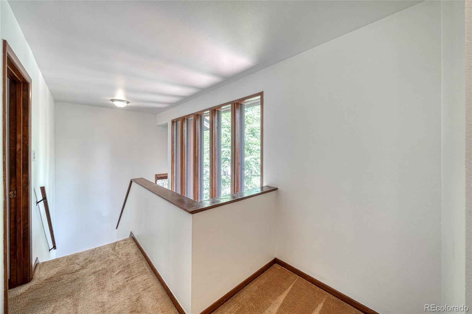 MLS Image #22 for 1642  hummer court,leadville, Colorado