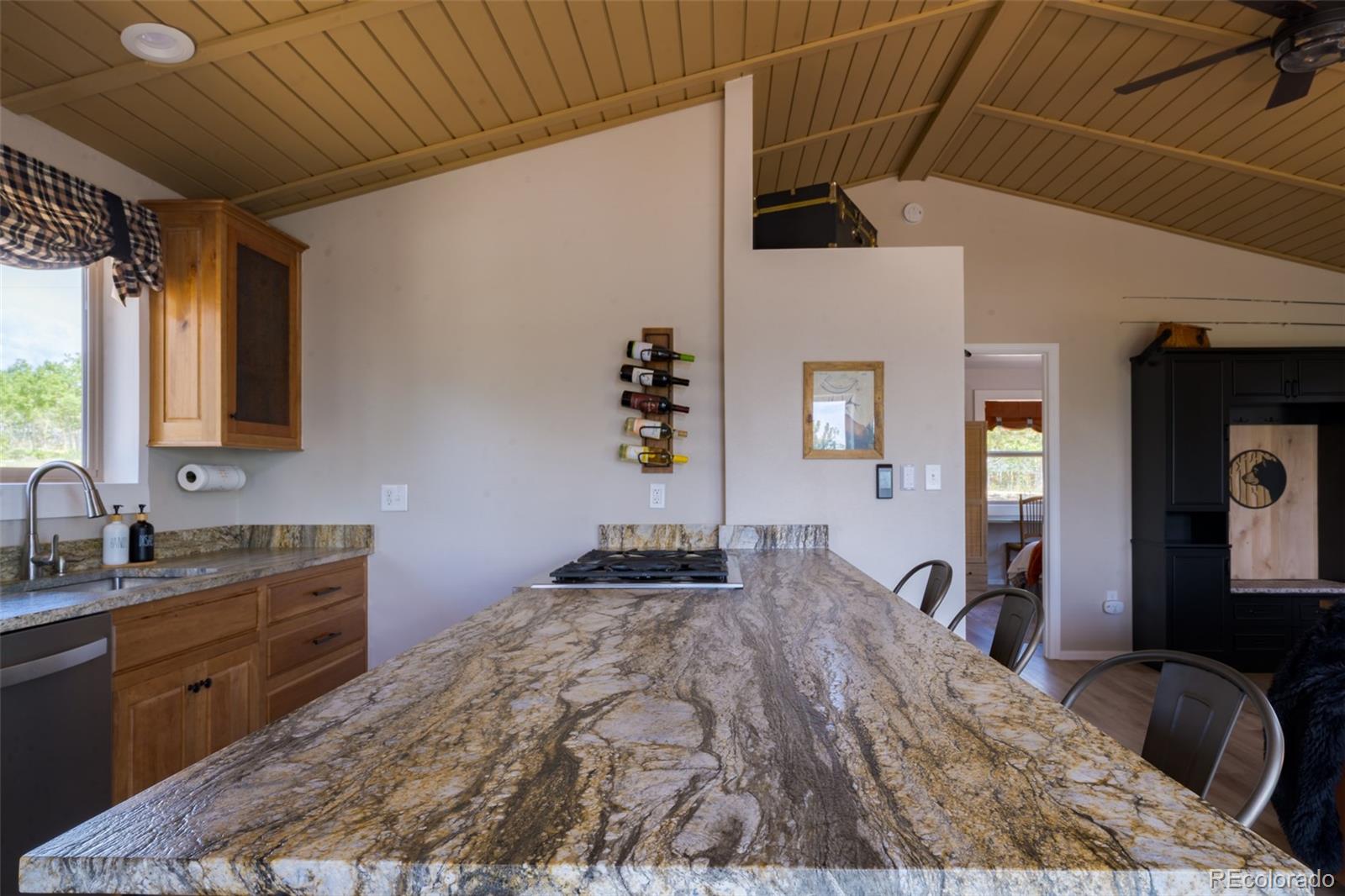 MLS Image #10 for 1040  sheep ridge road,fairplay, Colorado
