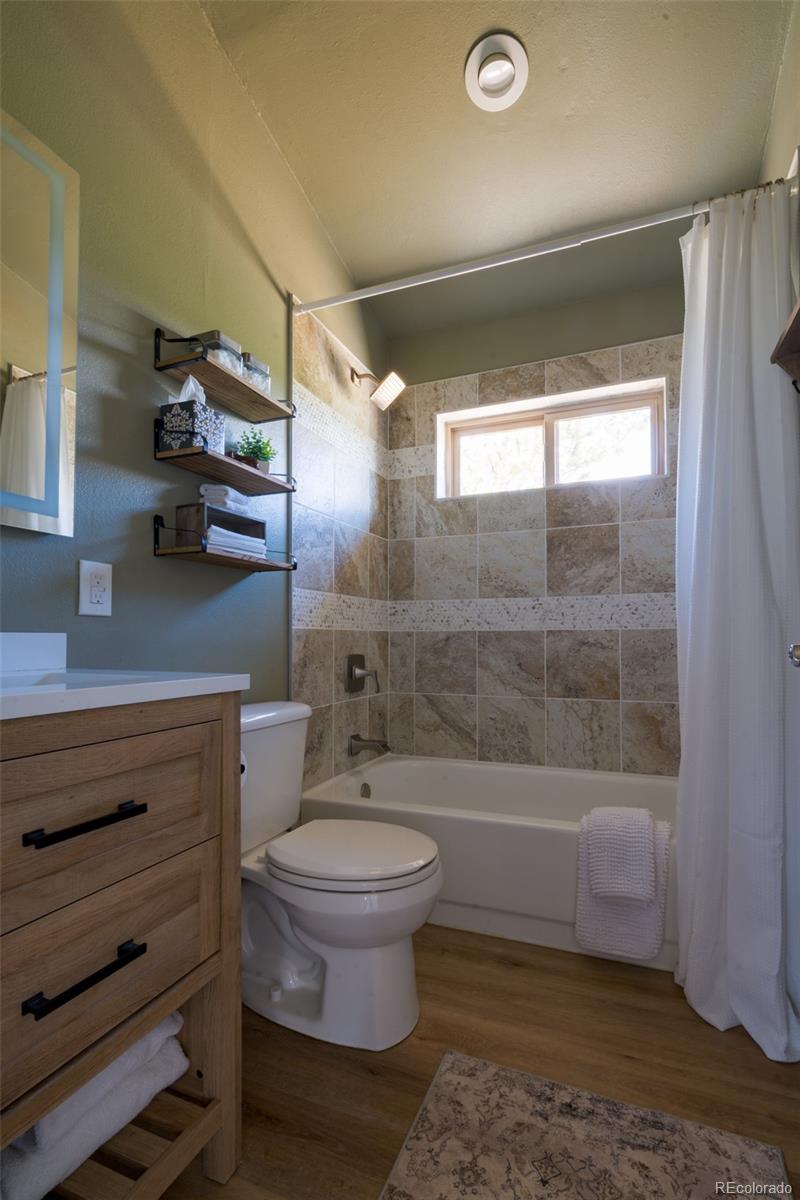 MLS Image #12 for 1040  sheep ridge road,fairplay, Colorado