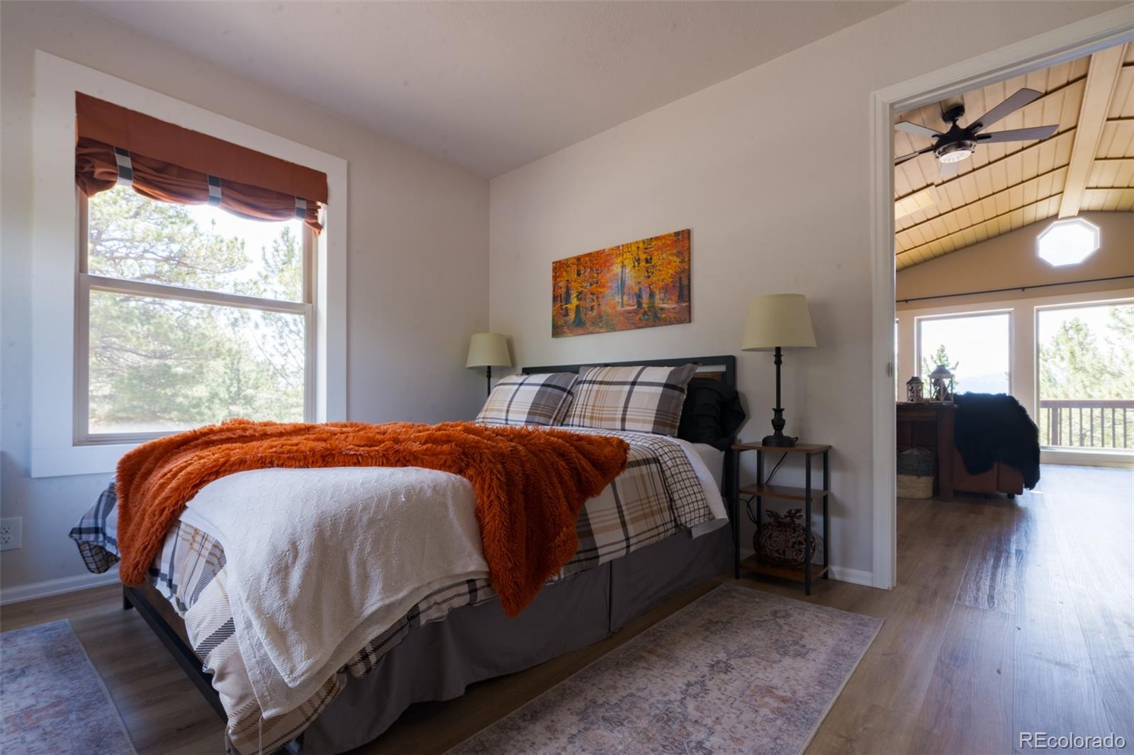 MLS Image #14 for 1040  sheep ridge road,fairplay, Colorado