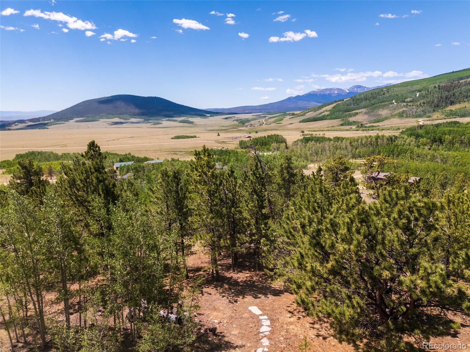 MLS Image #21 for 1040  sheep ridge road,fairplay, Colorado