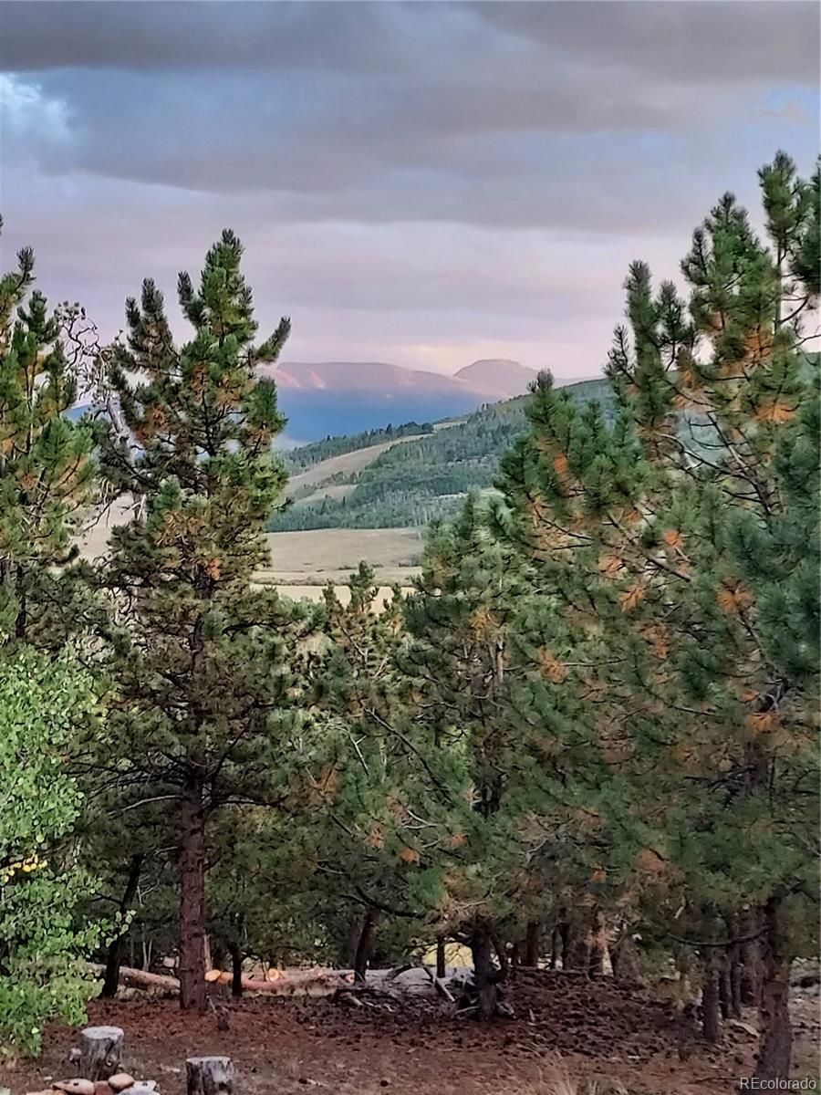 MLS Image #22 for 1040  sheep ridge road,fairplay, Colorado