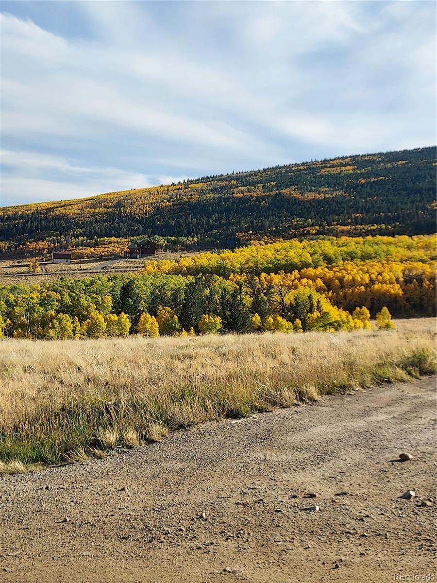 MLS Image #24 for 1040  sheep ridge road,fairplay, Colorado