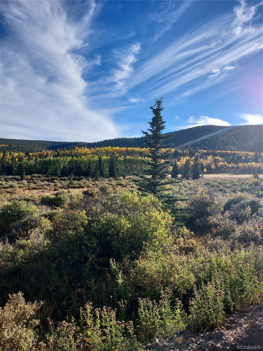 MLS Image #25 for 1040  sheep ridge road,fairplay, Colorado