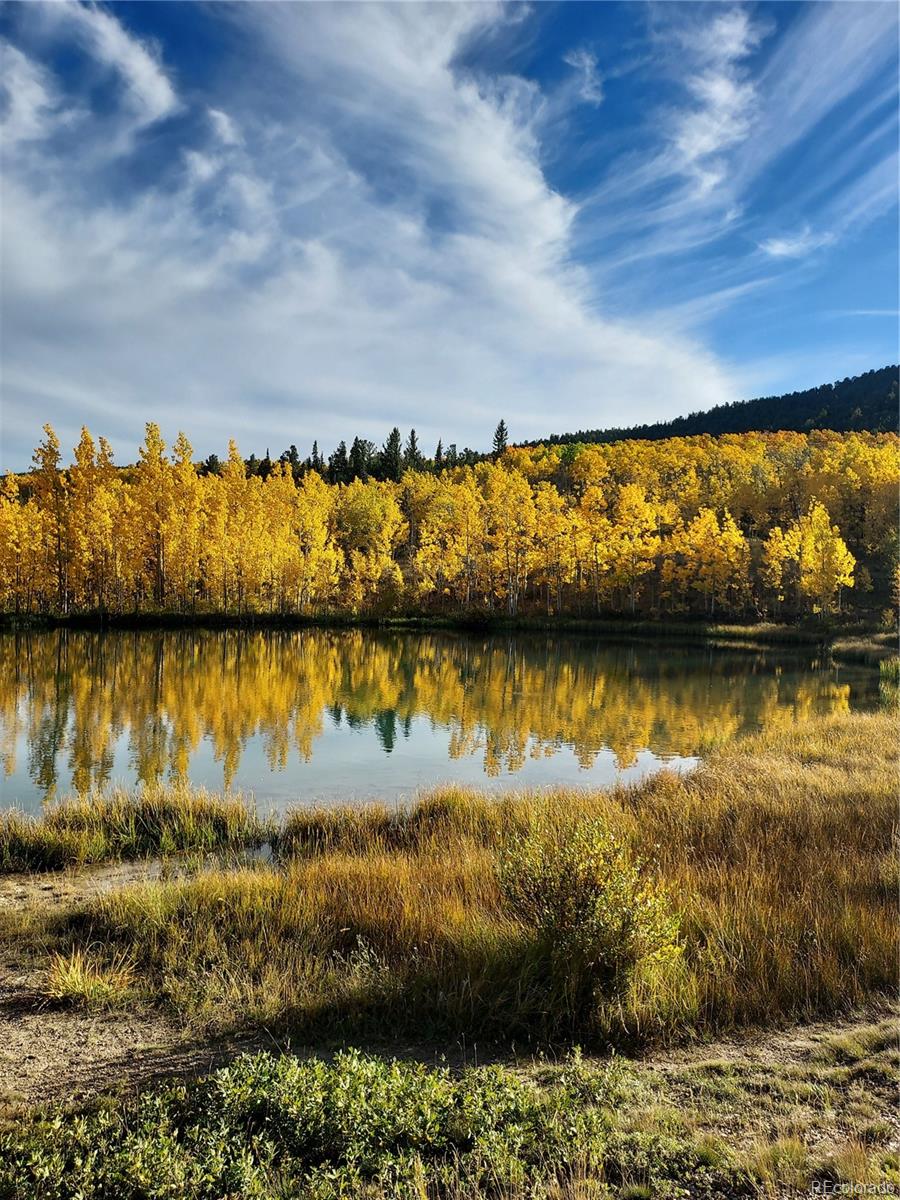 MLS Image #26 for 1040  sheep ridge road,fairplay, Colorado
