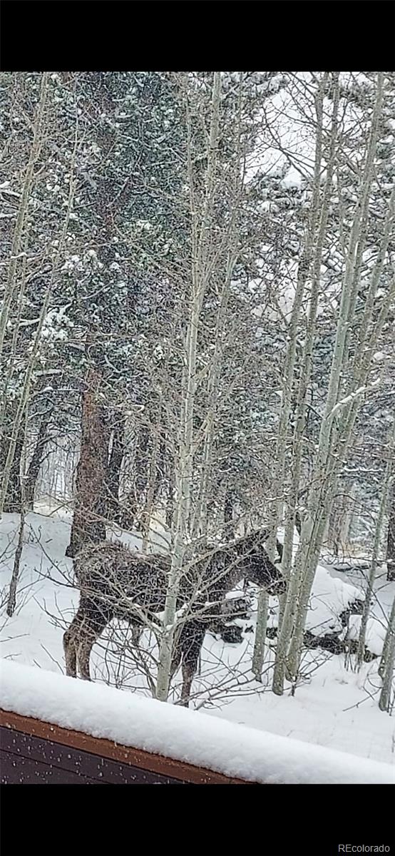 MLS Image #29 for 1040  sheep ridge road,fairplay, Colorado