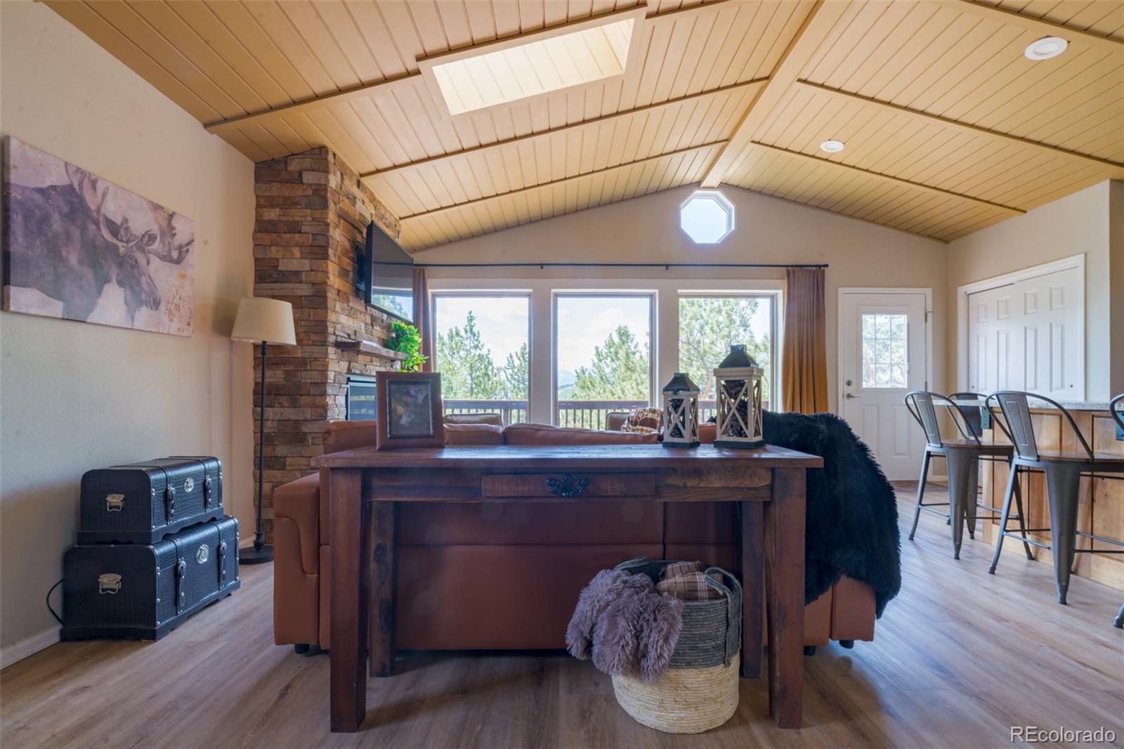 MLS Image #4 for 1040  sheep ridge road,fairplay, Colorado