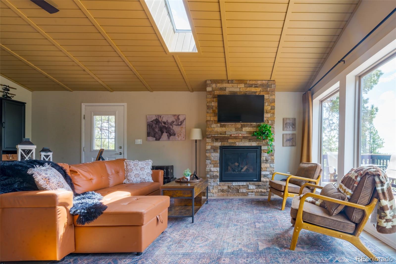 MLS Image #6 for 1040  sheep ridge road,fairplay, Colorado