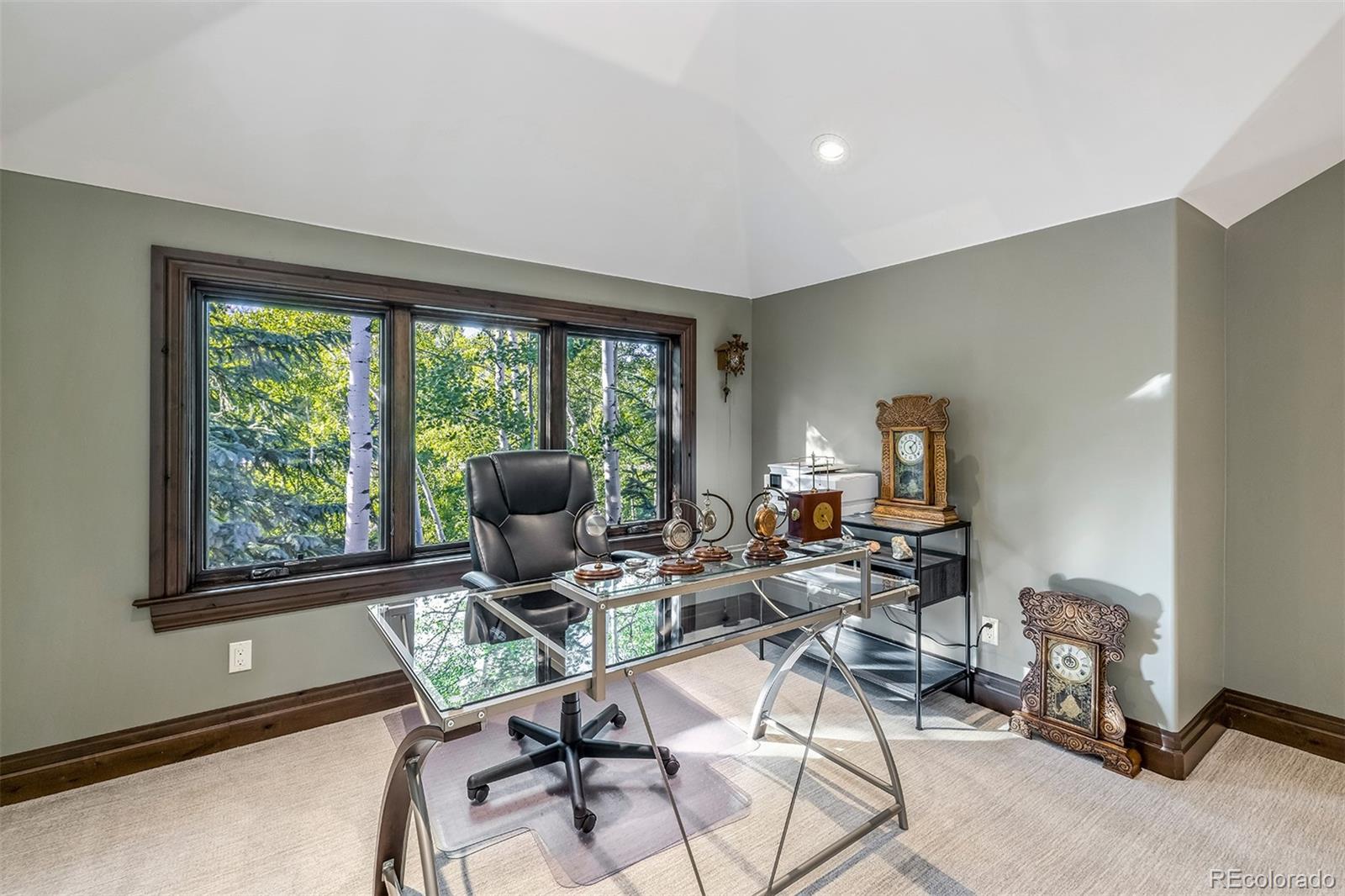 MLS Image #42 for 170  arnica lane,silverthorne, Colorado