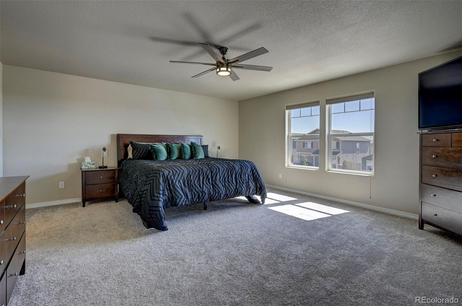 MLS Image #26 for 8226  ansley court,peyton, Colorado