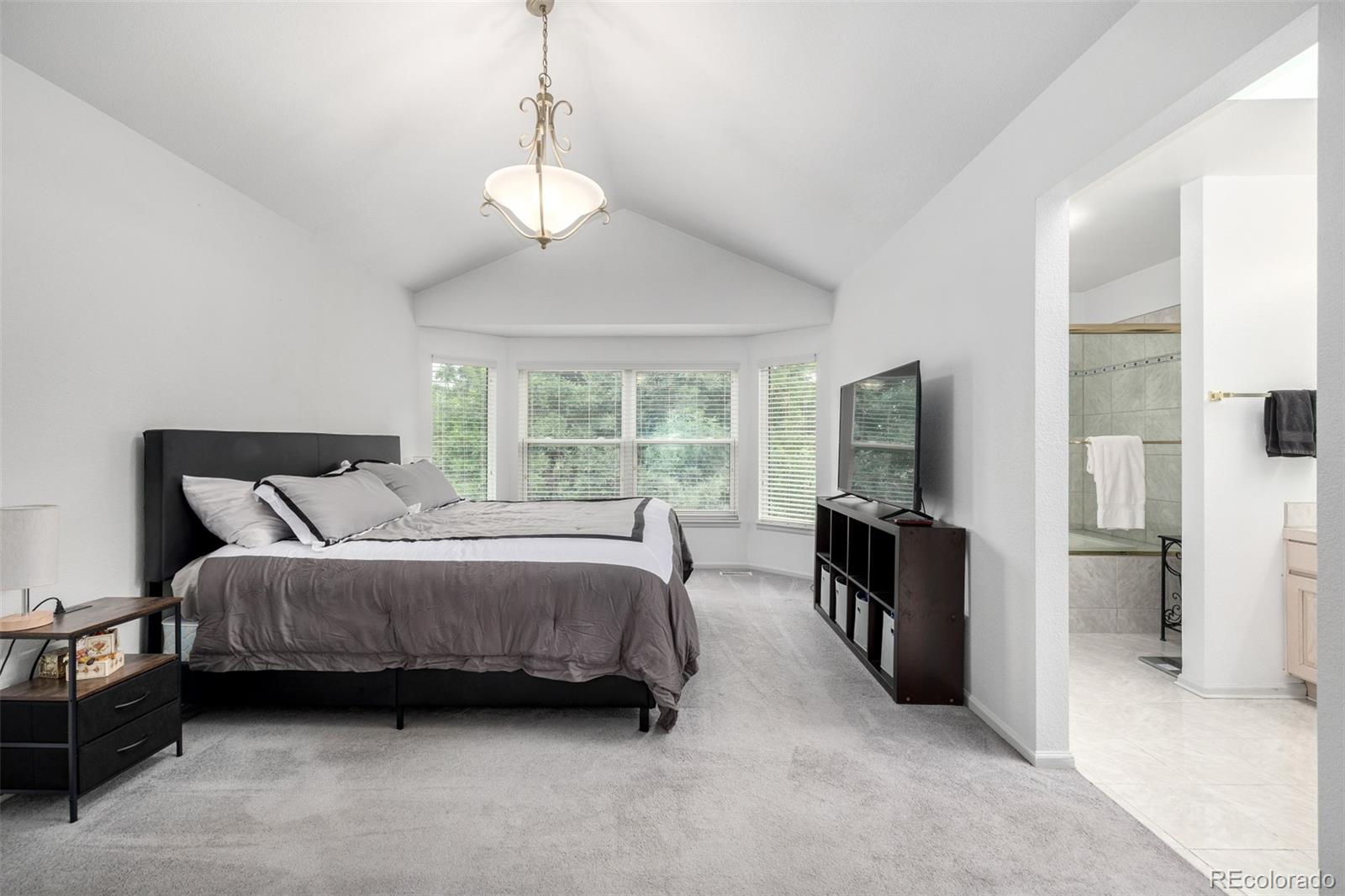 MLS Image #12 for 6888  howell street,arvada, Colorado