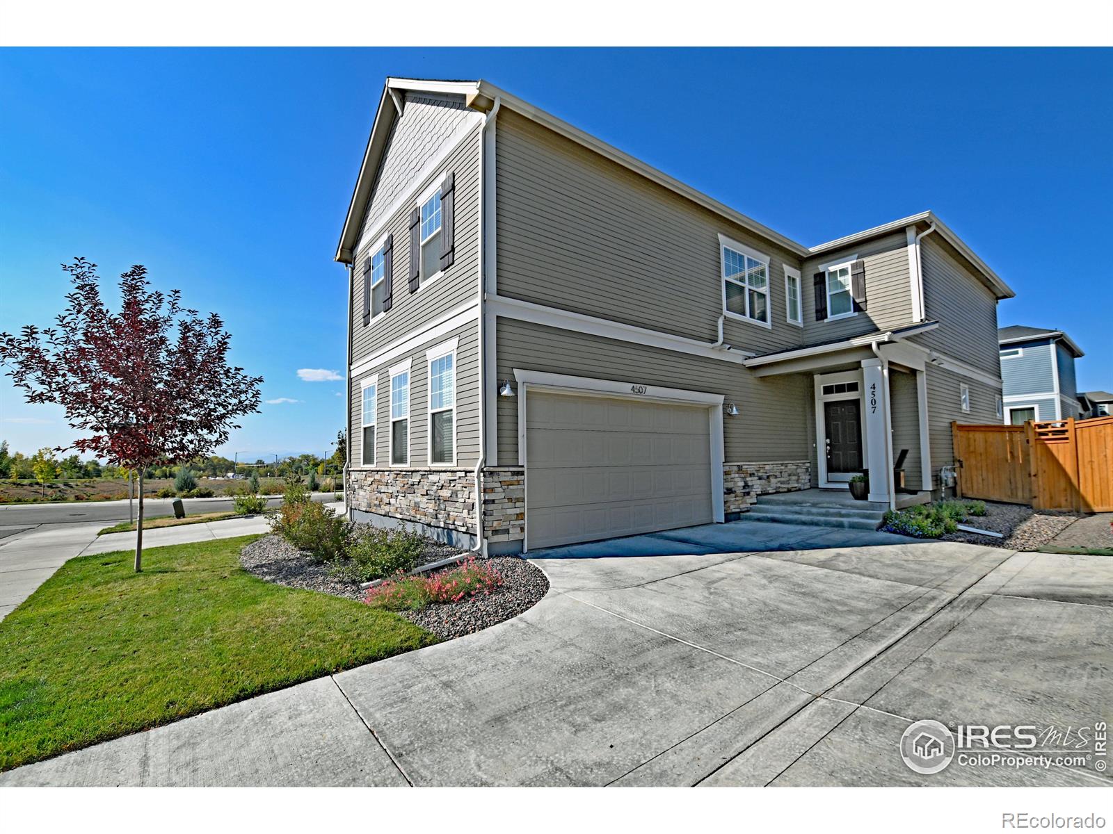 MLS Image #1 for 4507  barrow lane,timnath, Colorado