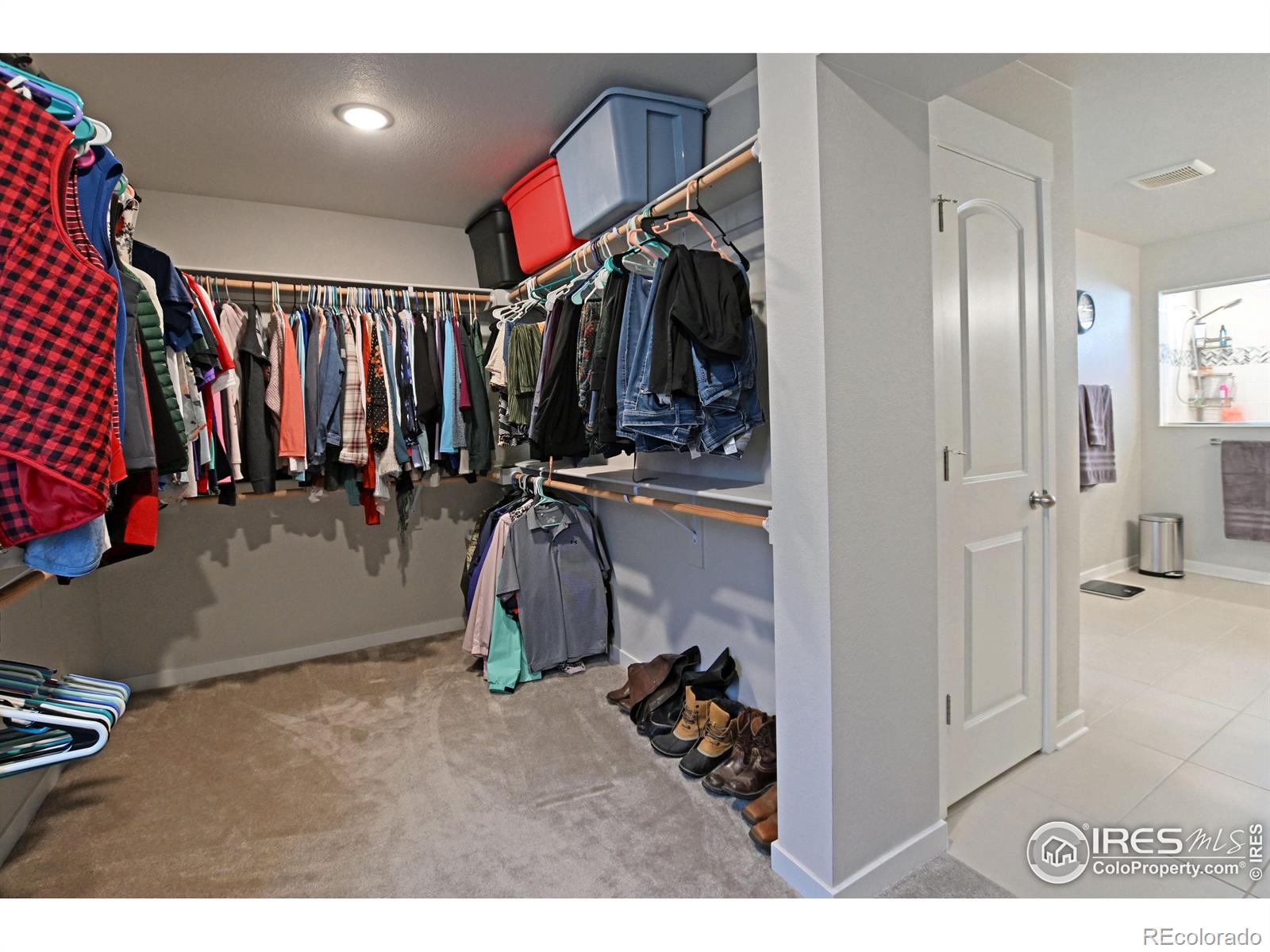 MLS Image #23 for 4507  barrow lane,timnath, Colorado