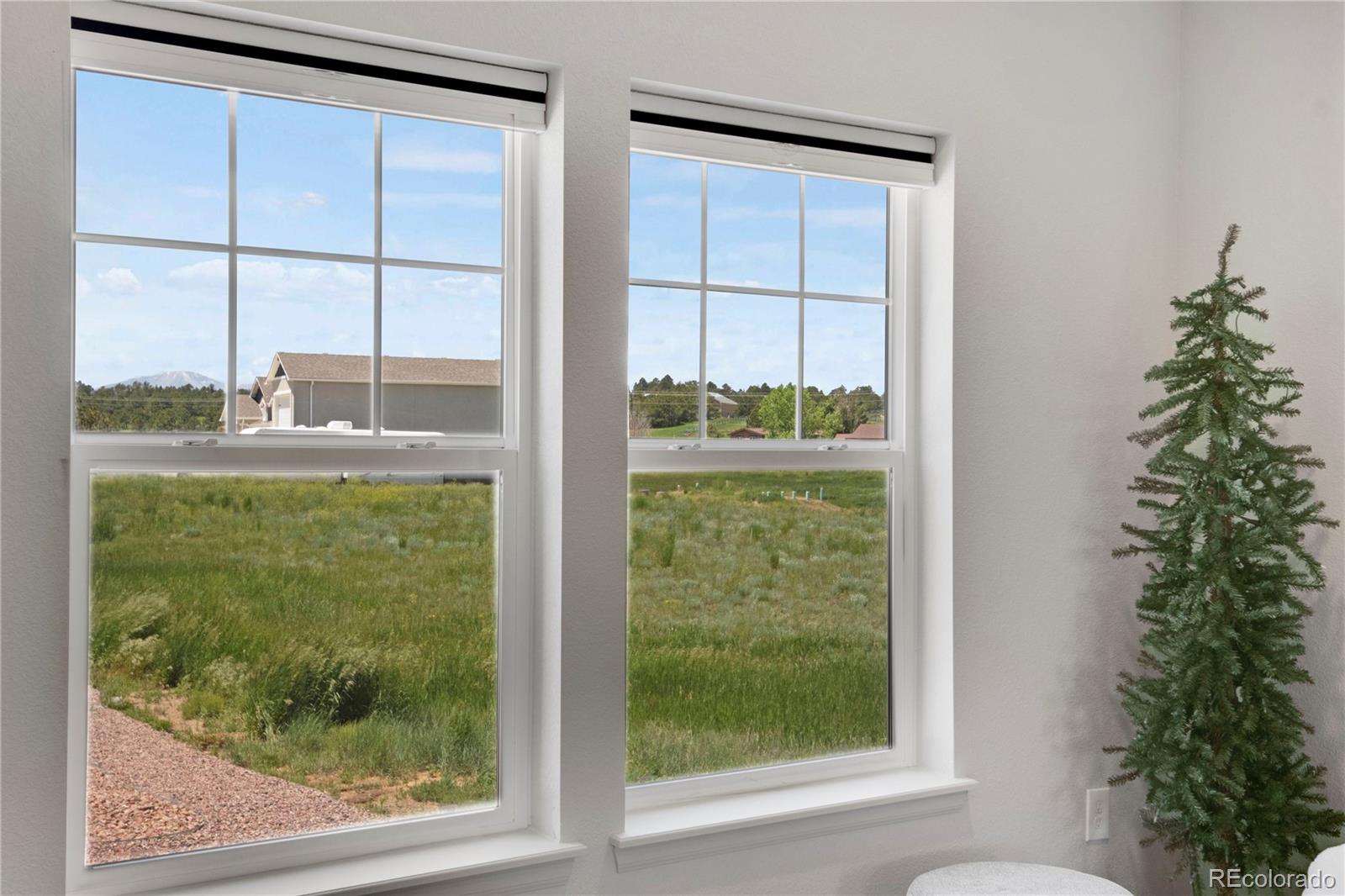 MLS Image #5 for 6986  marshbern court,colorado springs, Colorado