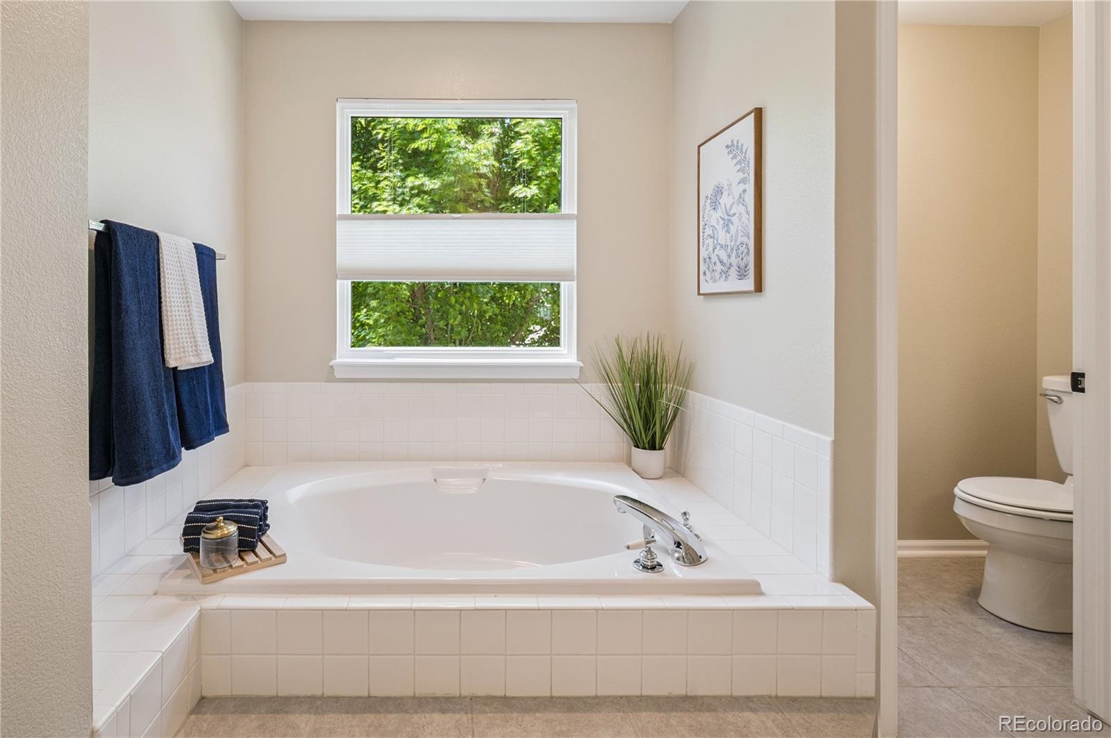 MLS Image #18 for 10096  hughes place,highlands ranch, Colorado