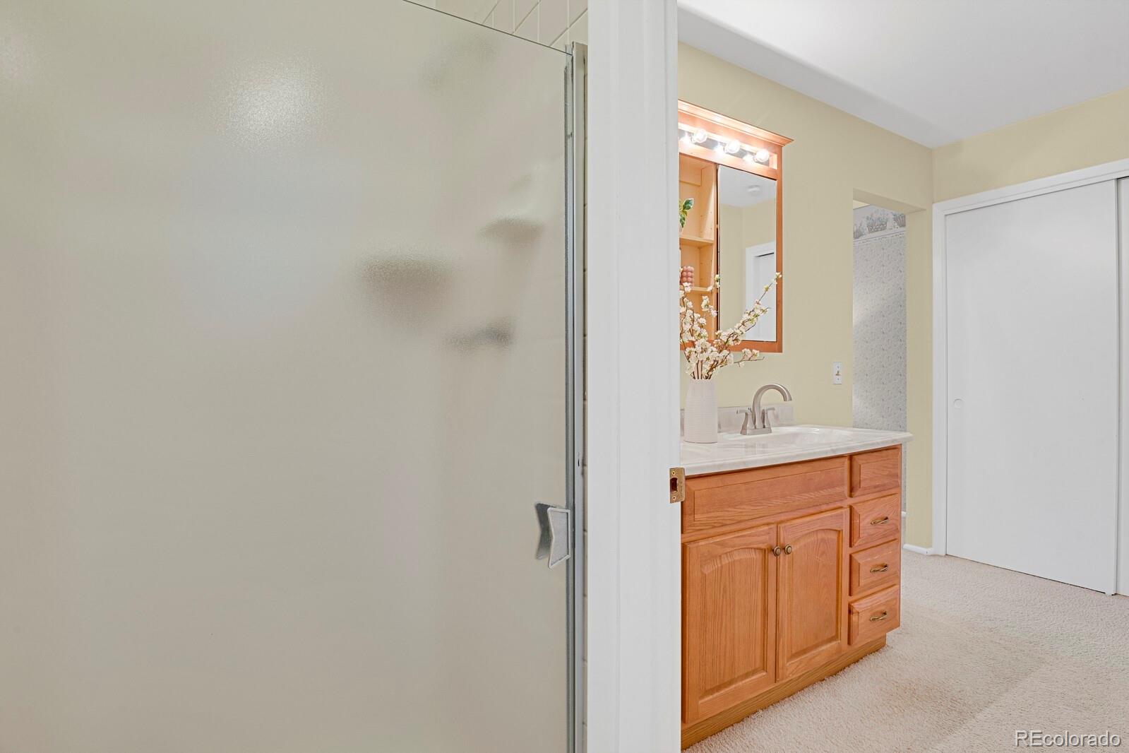 MLS Image #22 for 8277  teller court,arvada, Colorado
