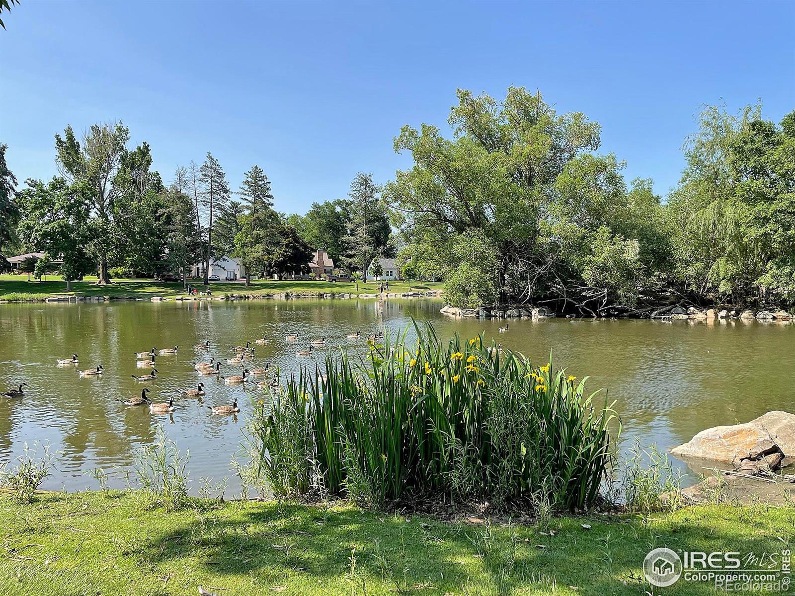 MLS Image #33 for 1203  19th street,greeley, Colorado
